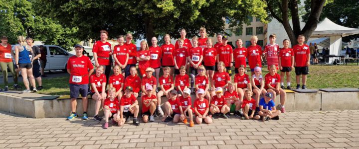 40. Ludwigsluster Schlossgartenlauf 2025